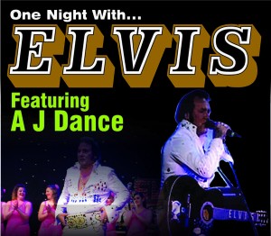 One Night With Elvis